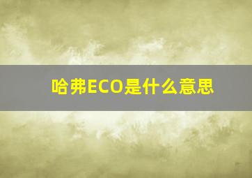 哈弗ECO是什么意思