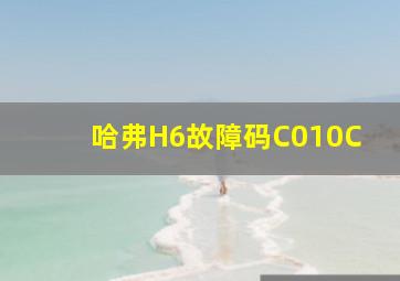 哈弗H6故障码C010C