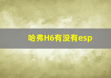 哈弗H6有没有esp