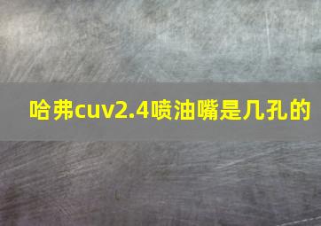 哈弗cuv2.4喷油嘴是几孔的