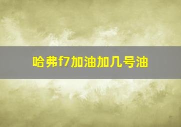 哈弗f7加油加几号油