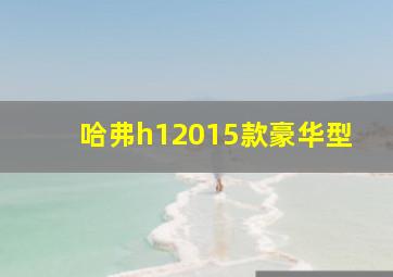 哈弗h12015款豪华型