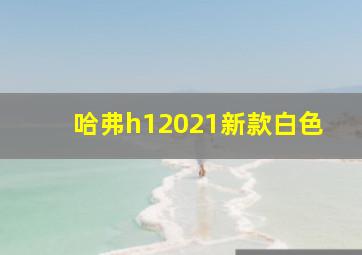 哈弗h12021新款白色