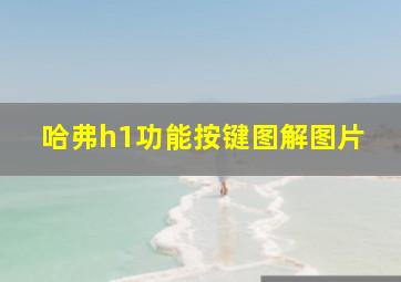 哈弗h1功能按键图解图片