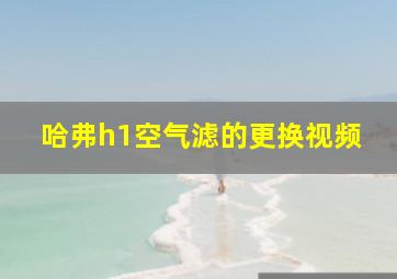 哈弗h1空气滤的更换视频