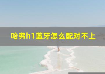 哈弗h1蓝牙怎么配对不上