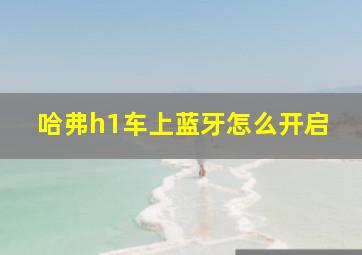 哈弗h1车上蓝牙怎么开启