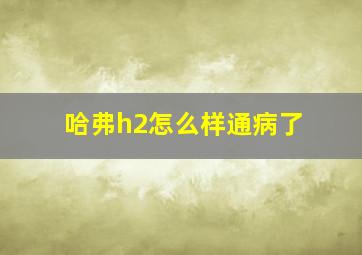 哈弗h2怎么样通病了