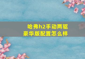 哈弗h2手动两驱豪华版配置怎么样