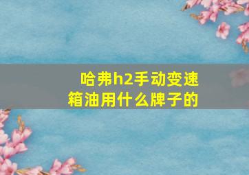 哈弗h2手动变速箱油用什么牌子的