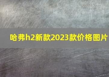 哈弗h2新款2023款价格图片