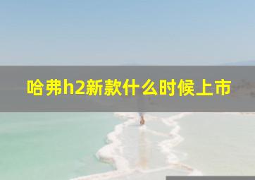 哈弗h2新款什么时候上市