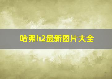 哈弗h2最新图片大全