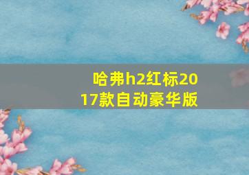 哈弗h2红标2017款自动豪华版