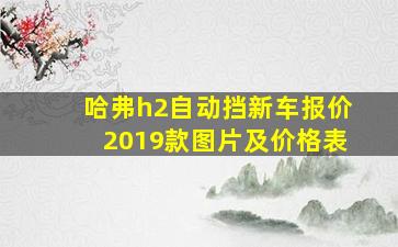 哈弗h2自动挡新车报价2019款图片及价格表