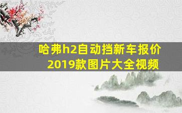 哈弗h2自动挡新车报价2019款图片大全视频