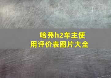 哈弗h2车主使用评价表图片大全