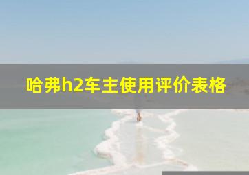 哈弗h2车主使用评价表格