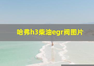 哈弗h3柴油egr阀图片