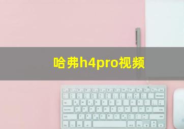 哈弗h4pro视频