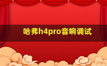 哈弗h4pro音响调试