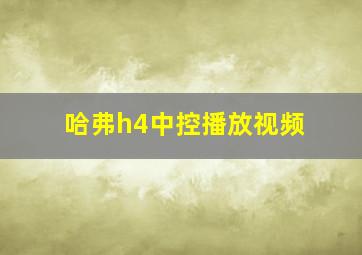 哈弗h4中控播放视频