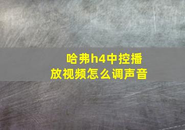 哈弗h4中控播放视频怎么调声音