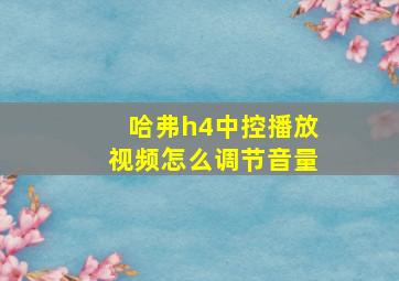 哈弗h4中控播放视频怎么调节音量