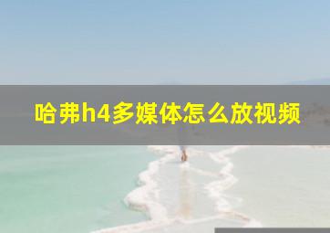 哈弗h4多媒体怎么放视频