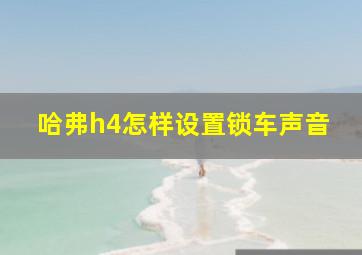 哈弗h4怎样设置锁车声音