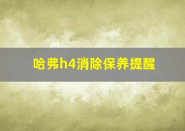 哈弗h4消除保养提醒