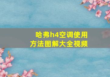 哈弗h4空调使用方法图解大全视频