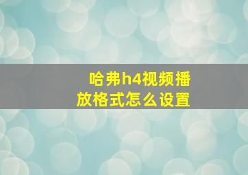 哈弗h4视频播放格式怎么设置