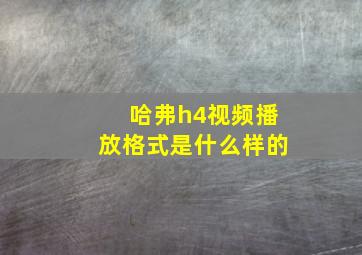 哈弗h4视频播放格式是什么样的