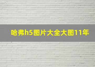 哈弗h5图片大全大图11年