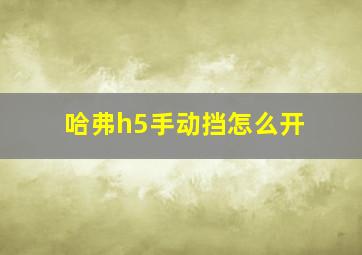 哈弗h5手动挡怎么开