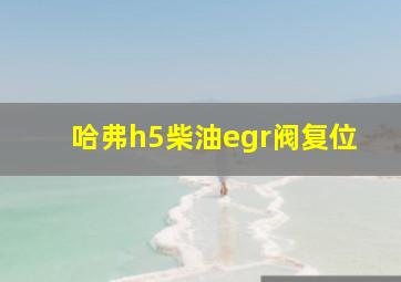 哈弗h5柴油egr阀复位