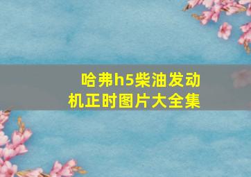 哈弗h5柴油发动机正时图片大全集