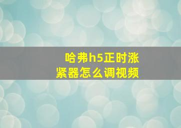 哈弗h5正时涨紧器怎么调视频