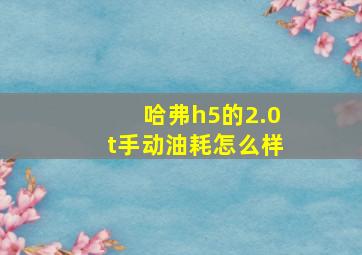 哈弗h5的2.0t手动油耗怎么样