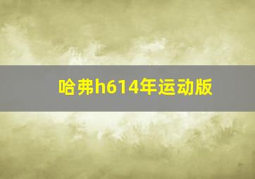 哈弗h614年运动版