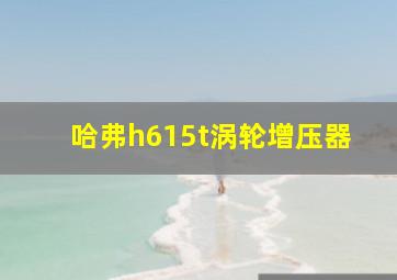 哈弗h615t涡轮增压器