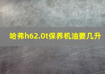 哈弗h62.0t保养机油要几升