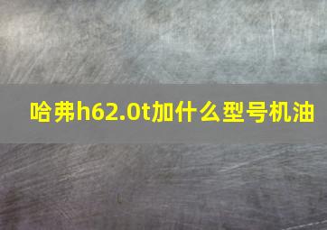 哈弗h62.0t加什么型号机油