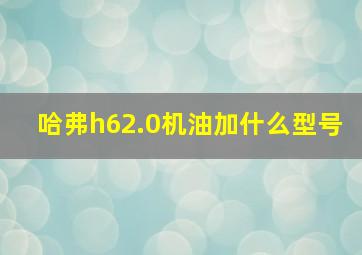 哈弗h62.0机油加什么型号