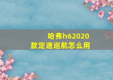 哈弗h62020款定速巡航怎么用