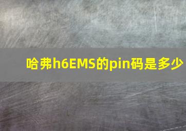 哈弗h6EMS的pin码是多少