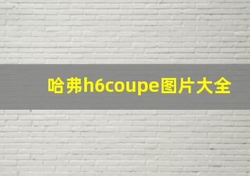 哈弗h6coupe图片大全