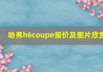 哈弗h6coupe报价及图片欣赏