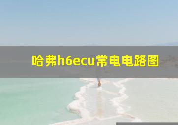 哈弗h6ecu常电电路图